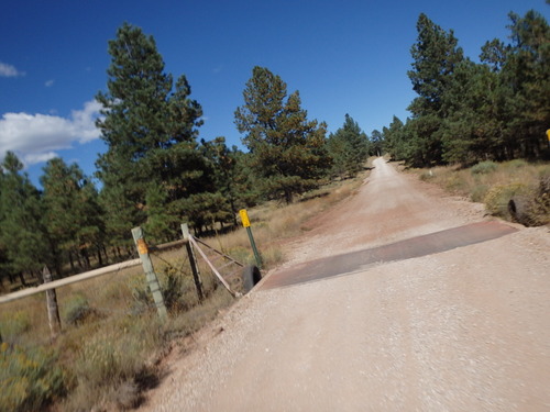 GDMBR: Cibola National Forest, NM, cattle guard and entry.